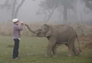 Kersbrook Equestrian Centre